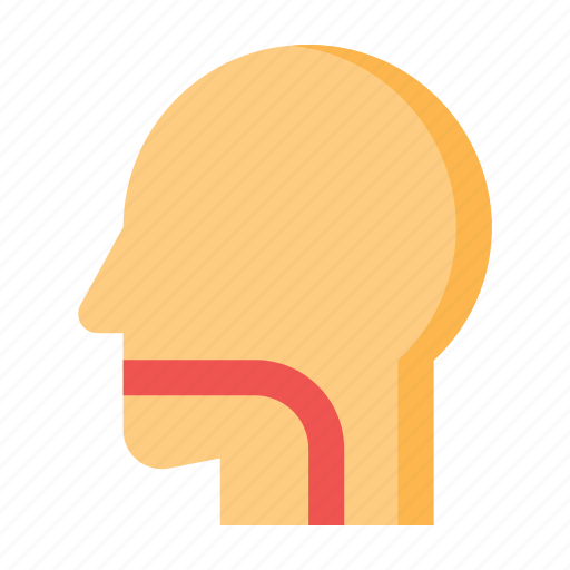Human, body, throat icon - Download on Iconfinder