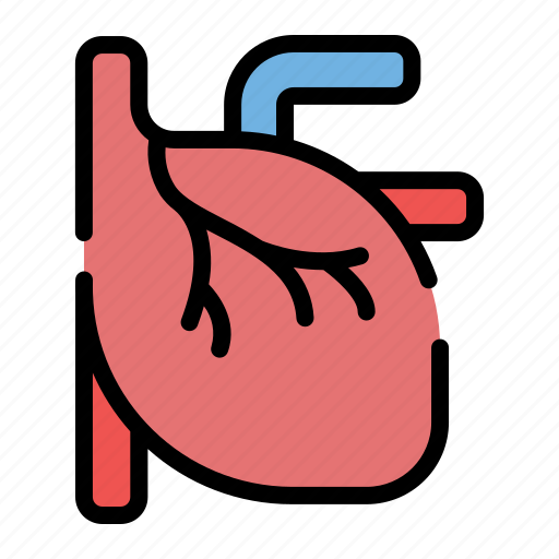 Human, body, heart icon - Download on Iconfinder