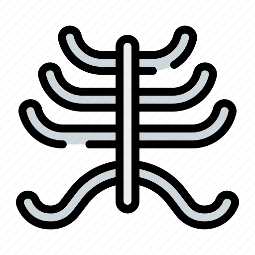Human, body, ribcage icon - Download on Iconfinder