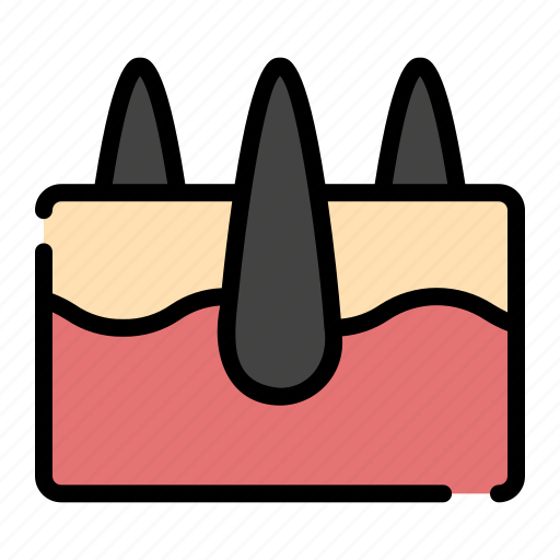 Human, body, skin icon - Download on Iconfinder