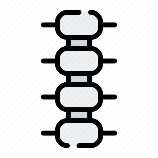 Human, body, spine icon - Download on Iconfinder