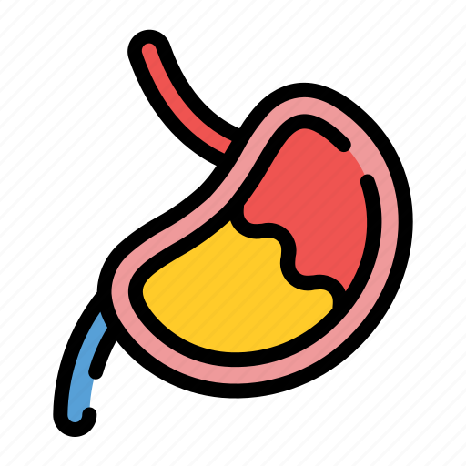 Human, body, stomach icon - Download on Iconfinder