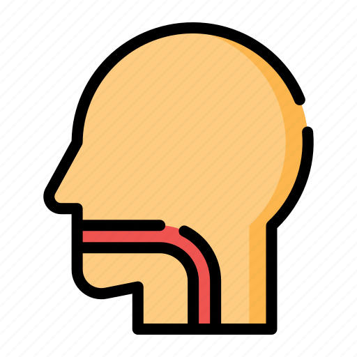 Human, body, throat icon - Download on Iconfinder