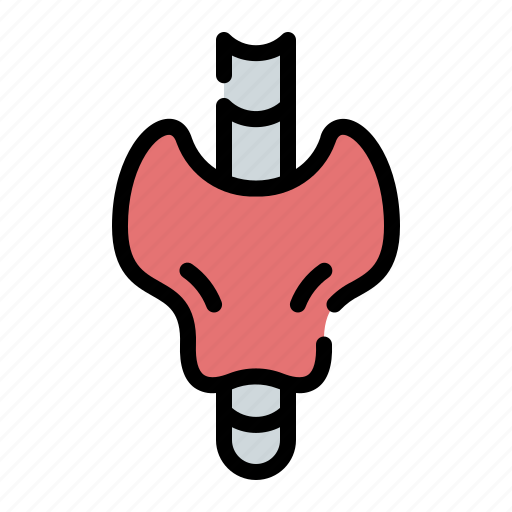 Human, body, thyroid icon - Download on Iconfinder