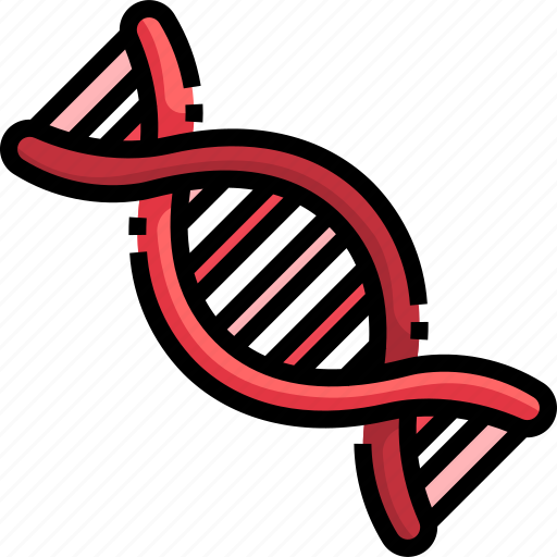 Acid, biology, deoxyribonucleic, dna, genetic, genetical, structure icon - Download on Iconfinder