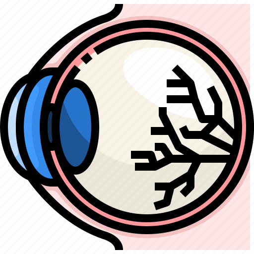 Body, eye, eyeball, human, organ, parts icon - Download on Iconfinder