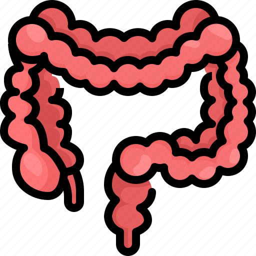 Body, intestine, large, organ, parts icon - Download on Iconfinder