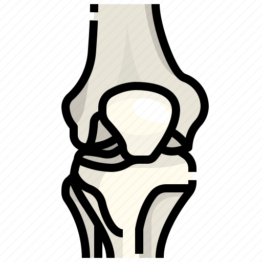 Body, bone, femur, human, knee, kneecap icon - Download on Iconfinder