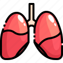 anatomy, breath, breathe, lung, lungs, organ