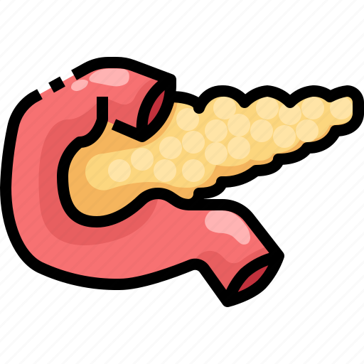 Anatomy, medical, organ, pancreas icon - Download on Iconfinder