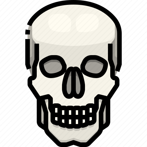 Anatomy, body, bone, part, skeleton, skull icon - Download on Iconfinder