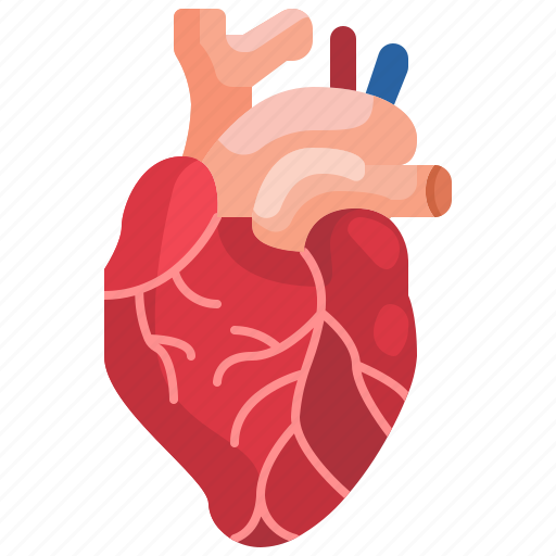 Cardio, cardiology, cardiovascular, heart, hospital, organ icon - Download on Iconfinder