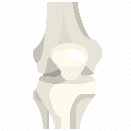 Body, bone, femur, human, knee, kneecap icon - Download on Iconfinder