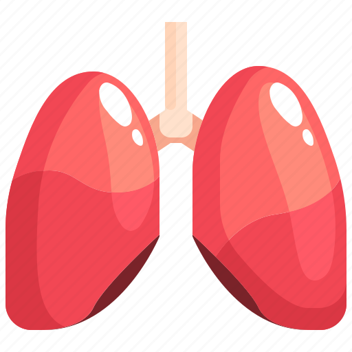 Anatomy, breath, breathe, lung, lungs, organ icon - Download on Iconfinder