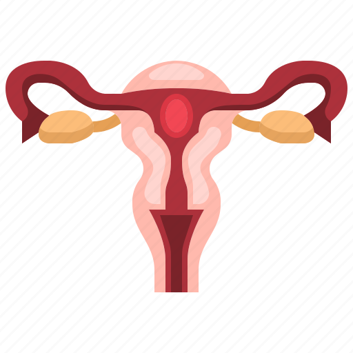 Anatomy, health, healthcare, medical, ovaries, ovary, uterus icon - Download on Iconfinder