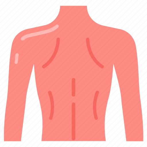 Back, body, part, spinal, health, muscles, pain icon - Download on Iconfinder