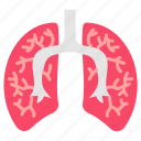lungs, respiratory, system, pulmonary, function, diseases, breathing