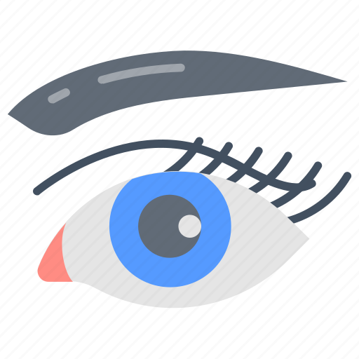 Eye, eyeball, eyelash, eyebrow, body, part, sensory icon - Download on Iconfinder