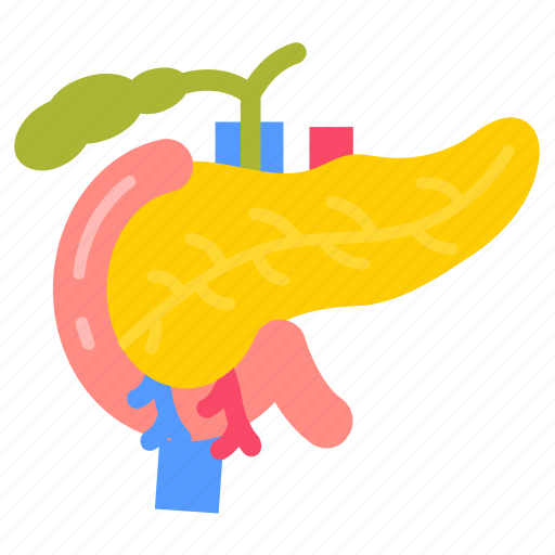 Pancreas, digestive, system, endocrine, pancreatic, enzymes, hormones icon - Download on Iconfinder