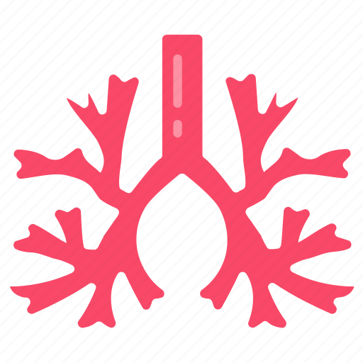 Bronchus, respiratory, system, trachea, airway, pulmonary, veins icon - Download on Iconfinder