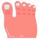 toe, foot, nails, toenails, finger