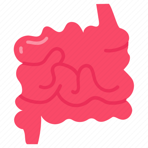 Small, intestine, narrow, bowel, gut, tube icon - Download on Iconfinder