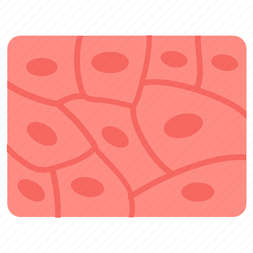 Tissue, body, connective, epithelial, nervous icon - Download on Iconfinder