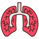 lungs, respiratory, system, pulmonary, function, diseases, breathing