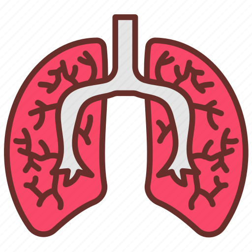 Lungs, respiratory, system, pulmonary, function, diseases, breathing icon - Download on Iconfinder