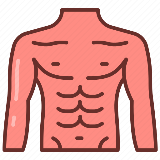 Chest, pain, trauma, breast, health, congestion, thoracic icon - Download on Iconfinder
