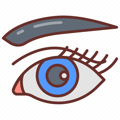 Eye, eyeball, eyelash, eyebrow, body, part, sensory icon - Download on Iconfinder
