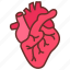 heart, cardiology, health, rate, rhythm, failure 
