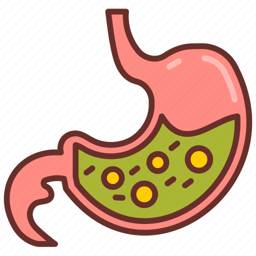 Stomach, abdomen, ulcer, acid, reflux, food, digestion icon - Download on Iconfinder