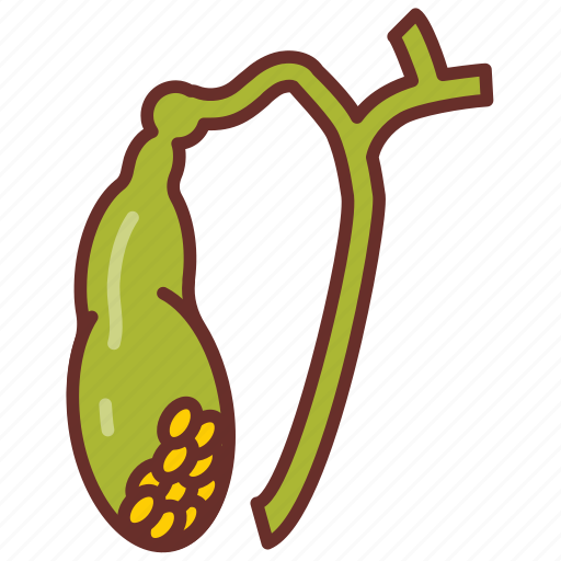 Gallbladder, gallstones, bile, duct, hepatic, cystic icon - Download on Iconfinder