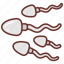 sperms, gametes, sperm, cell, reproduction, semen, morphology