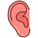 ear, body, part, sensory, organ, lobe, external, auditory, sense