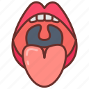 tonsil, palatine, faucial, lymphoid, tissue, tonsillar, crypts