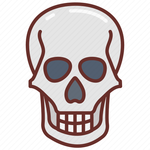 Skull, head, skullcap, brain, case, cranial, bones icon - Download on Iconfinder