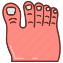 toe, foot, nails, toenails, finger