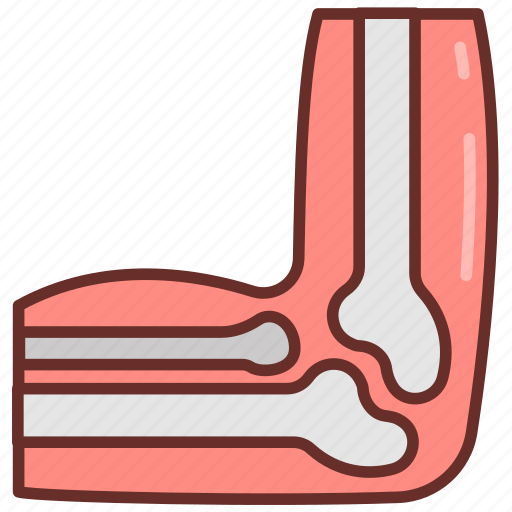 Elbow, bone, joint, medial, epicondyle, forearm, ulna icon - Download on Iconfinder