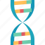 dna, helix, gene, chromosome, biotechnology 