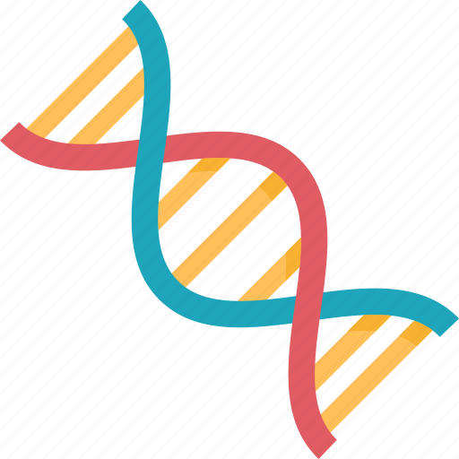 Dna, strands, genetics, biology, science icon - Download on Iconfinder
