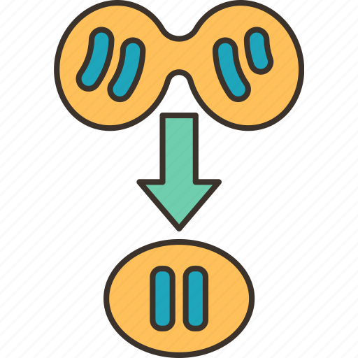 Newborn, gene, inheritance, chromosome, reproduction icon - Download on Iconfinder
