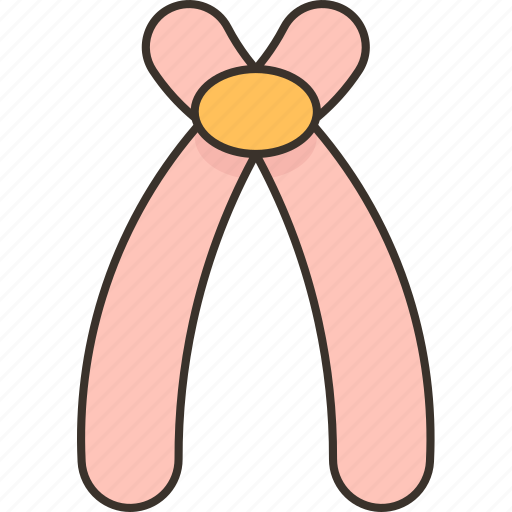 Acrocentric, chromosome, centromere, position, humans icon - Download on Iconfinder
