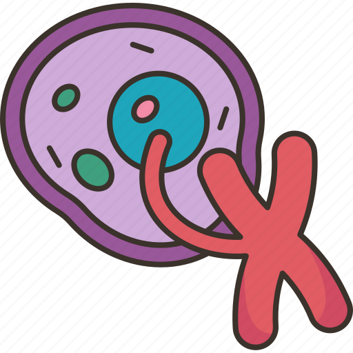 Chromosome, cell, nucleus, genome, biology icon - Download on Iconfinder
