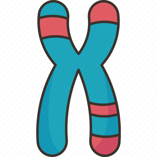 Chromosome, dna, genome, structure, human icon - Download on Iconfinder