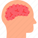 brain, education, human, head, man, mind, psychology, thinking, icon