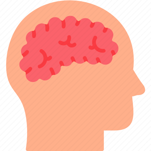 Brain, education, human, head, man, mind, psychology icon - Download on Iconfinder