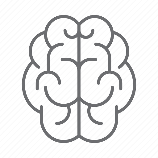 Brain, human, organ, think, medical, anatomy, healthcare icon - Download on Iconfinder