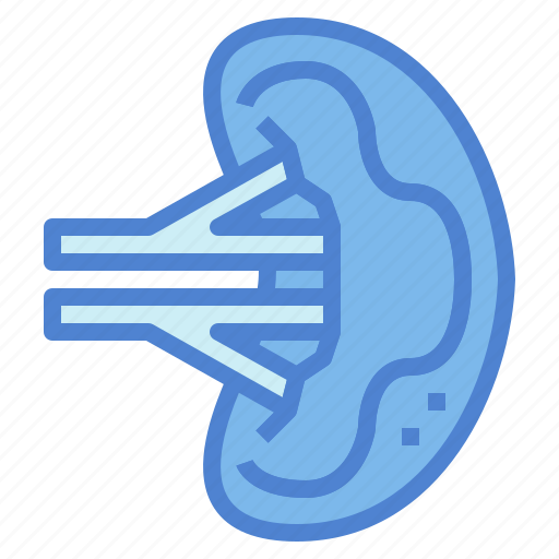 Body, human, physiology, spleen icon - Download on Iconfinder
